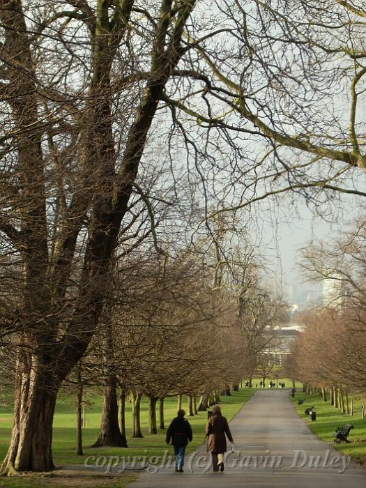 Greenwich Park DSCN0911.JPG -           